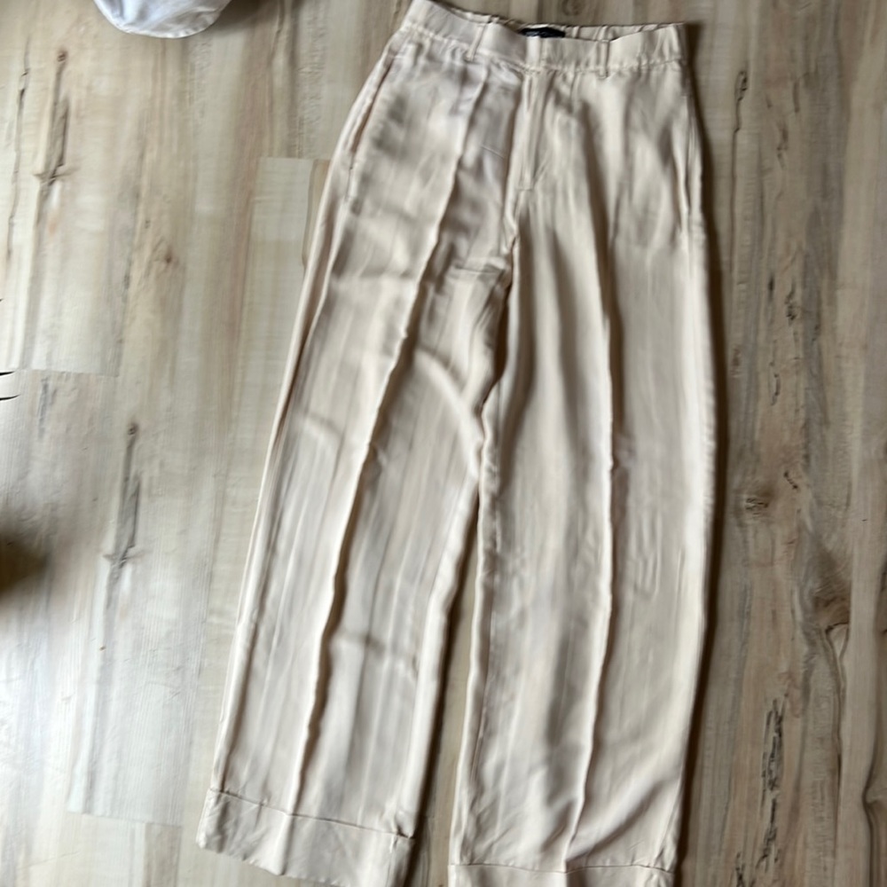 COPY - Zara stain slacks